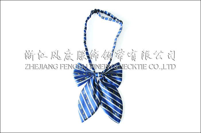 6564577_常州市保利大劇院仿絲領花.jpeg